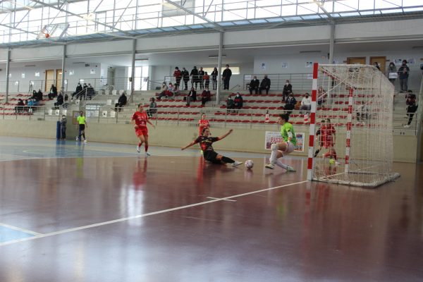 Crónica del Partido de Liga de 2ª División: Almagro FSF - Segosala Pinturas Alyvan. Jornada 13ª. Grupo 4º